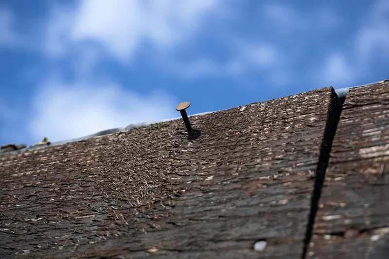 Rusty nail head sticking out of an old weathered board