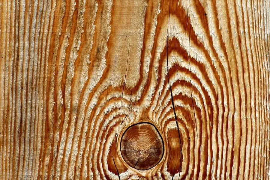 Close-up of grain and a knot in a softwood board with a warm amber tone