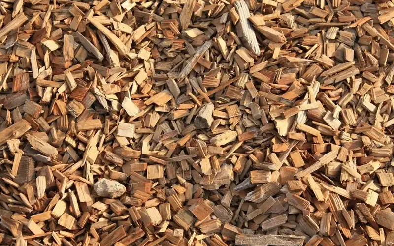 Pile of wood chips, the starting raw material for medium-density fiberboard Pile of wood chips, the starting raw material for medium-density fiberboard