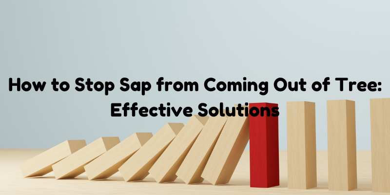 How to Stop Sap from Coming Out of Tree: Effective Solutions