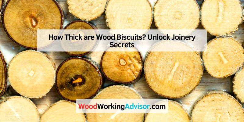 How Thick are Wood Biscuits