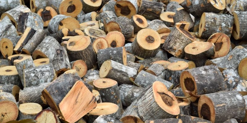 How Thick are Wood Biscuits