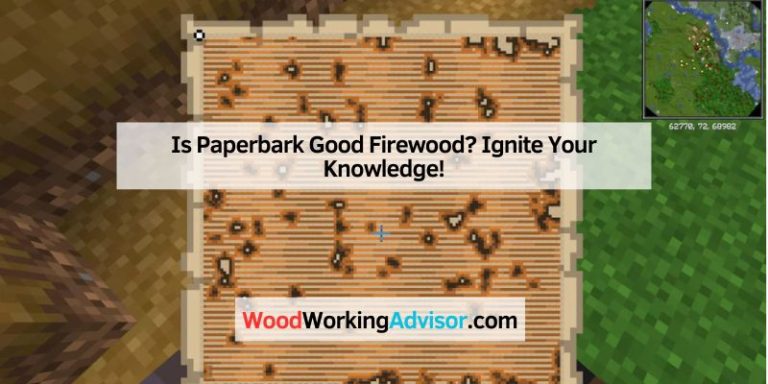 Minecraft Woodland Mansion Map How to Use