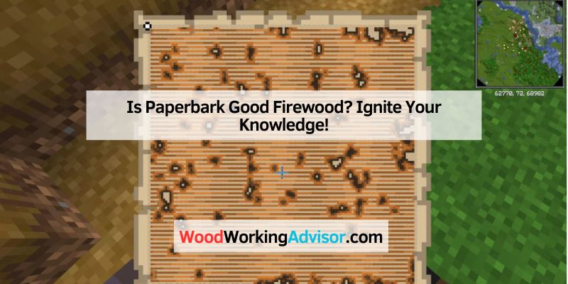 Minecraft Woodland Mansion Map How to Use