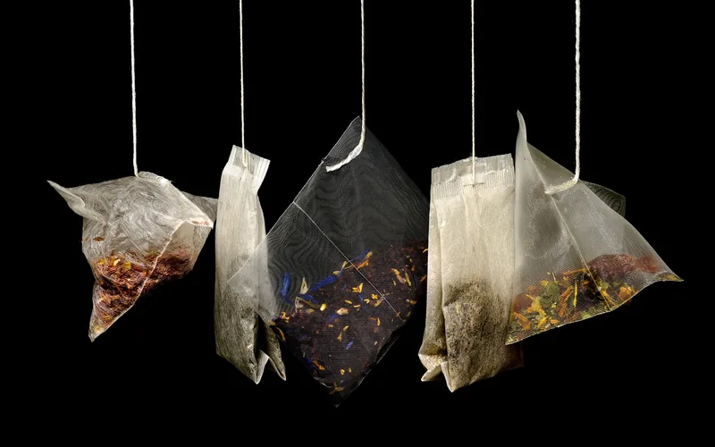 Black tea bags hanging against a dark background, a tannin source for pretreating wood