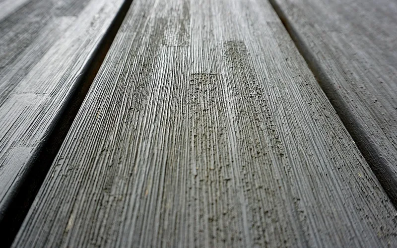 Close-up of burl wood grain showing the swirling structure prized in burled walnut Close-up of burl wood grain showing the swirling structure prized in burled walnut