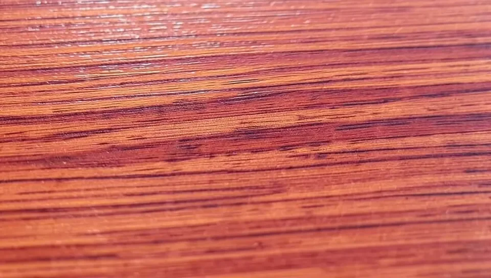 Close-up of eucalyptus wood grain and color