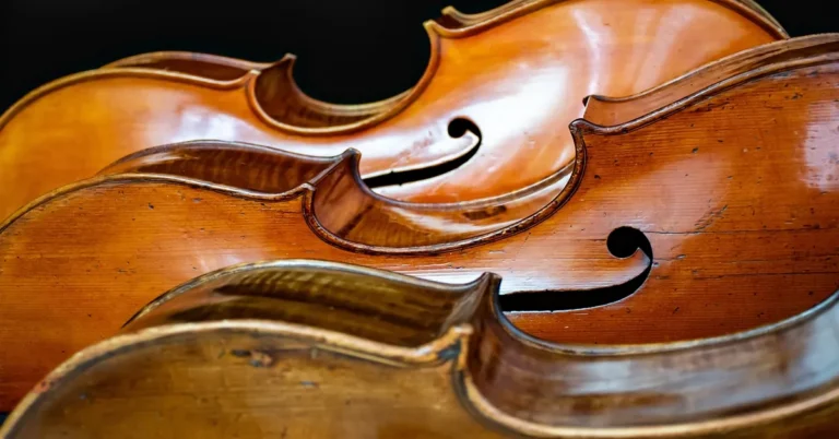Glossy varnished cello bodies showing the depth of a hand-finished wood surface