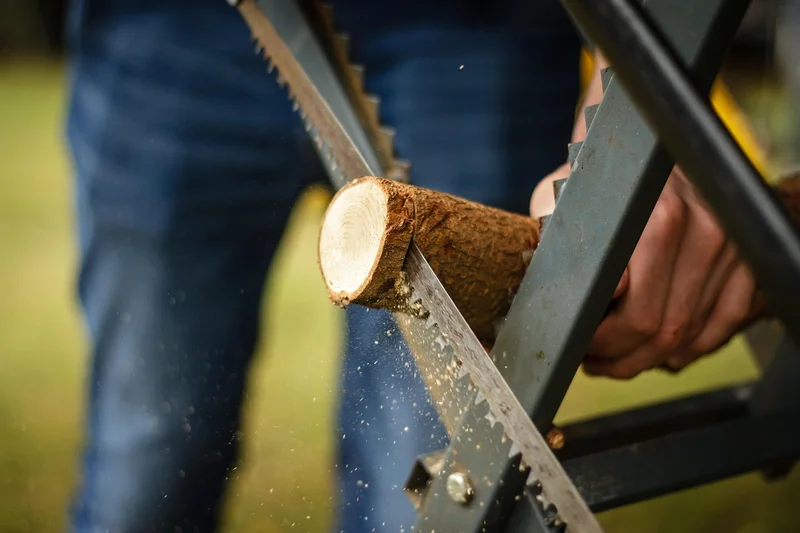 Small branch being cut with a hand saw on a sawbuck