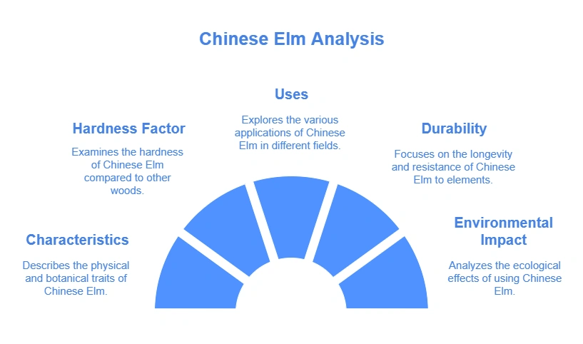 Is Chinese Elm a Hardwood