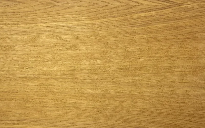 Close-up of medium golden oak grain with fine straight lines