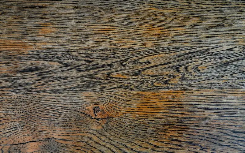 Close-up of open-pored oak grain, a tannin-rich wood that darkens with iron acetate