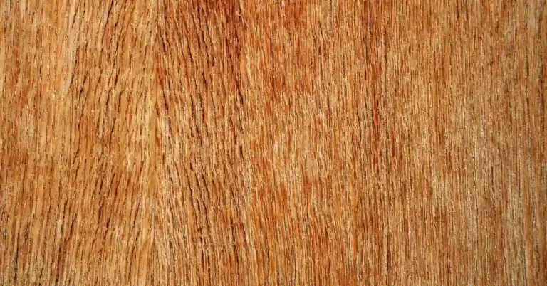Close-up of plywood veneer grain showing face layer used for cabinet door panels