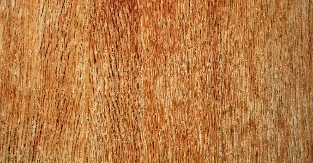 Close-up of plywood veneer grain showing face layer used for cabinet door panels