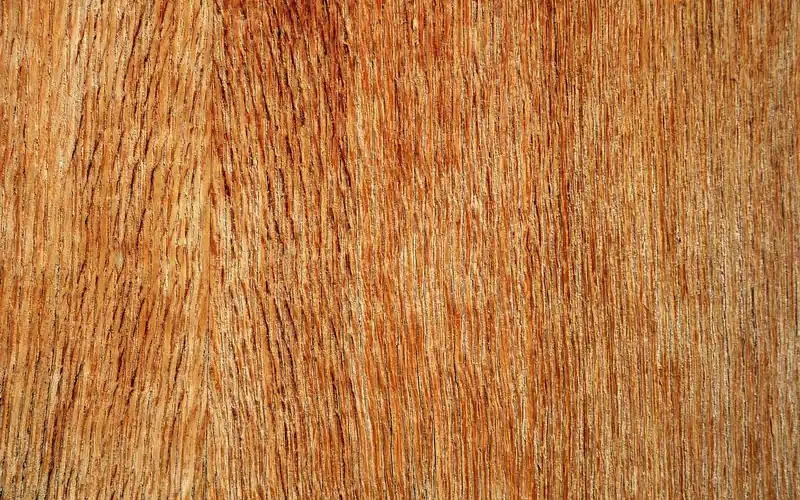 Close-up of plywood veneer grain showing layering used to grade furniture plywood