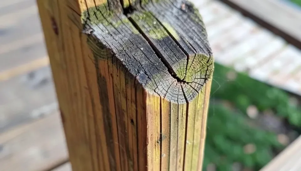 Pressure-treated wood post showing surface checking at the cut end