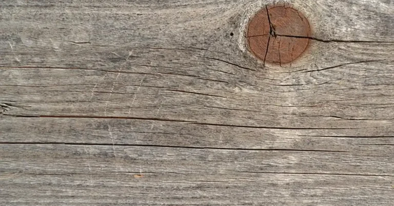 Close-up of pressure treated wood board with cracks along the grain