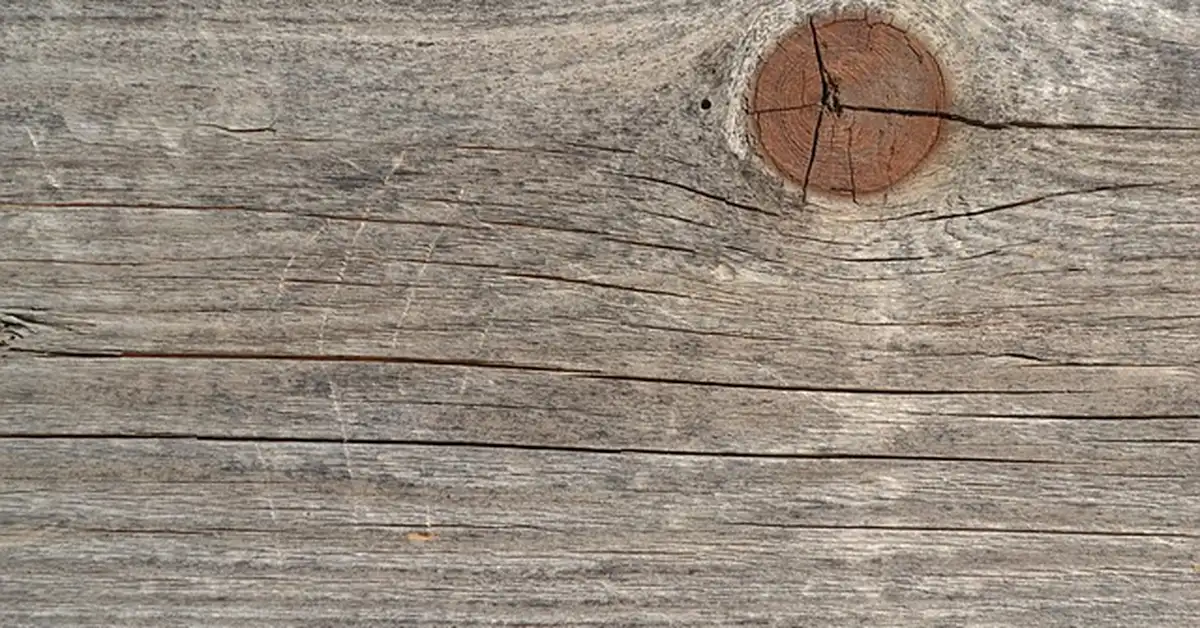 Close-up of pressure treated wood board with cracks along the grain