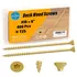 Long exterior deck screws salt spray resistant