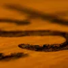 Varathane wood grain enhancer