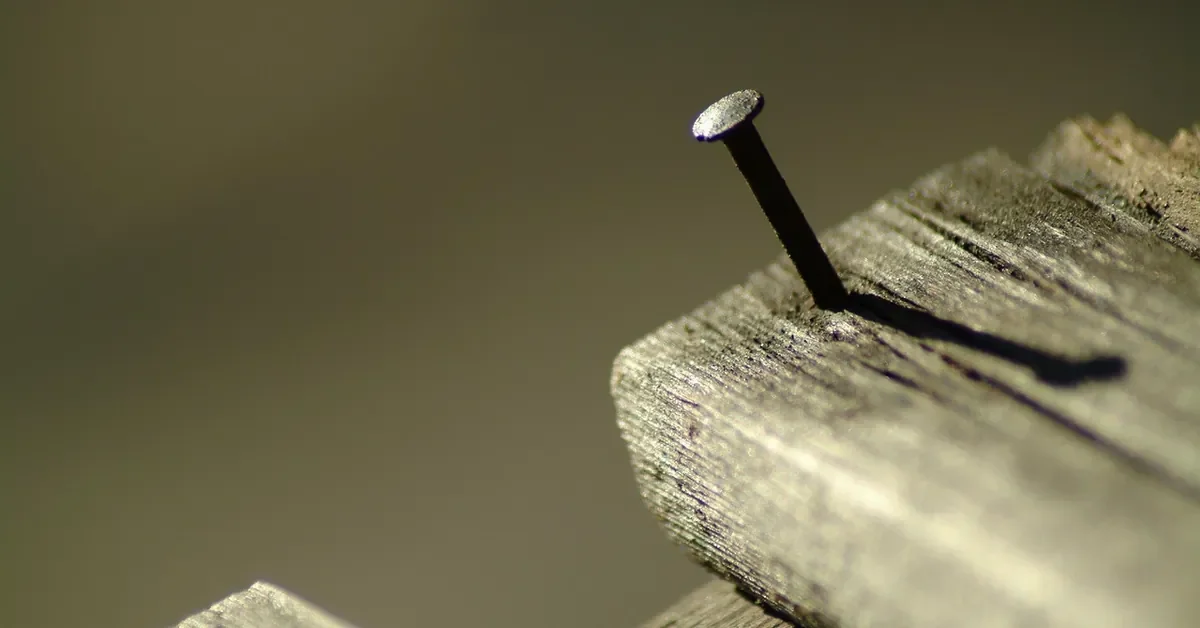 Single steel finish nail driven partway into a wooden board, close-up