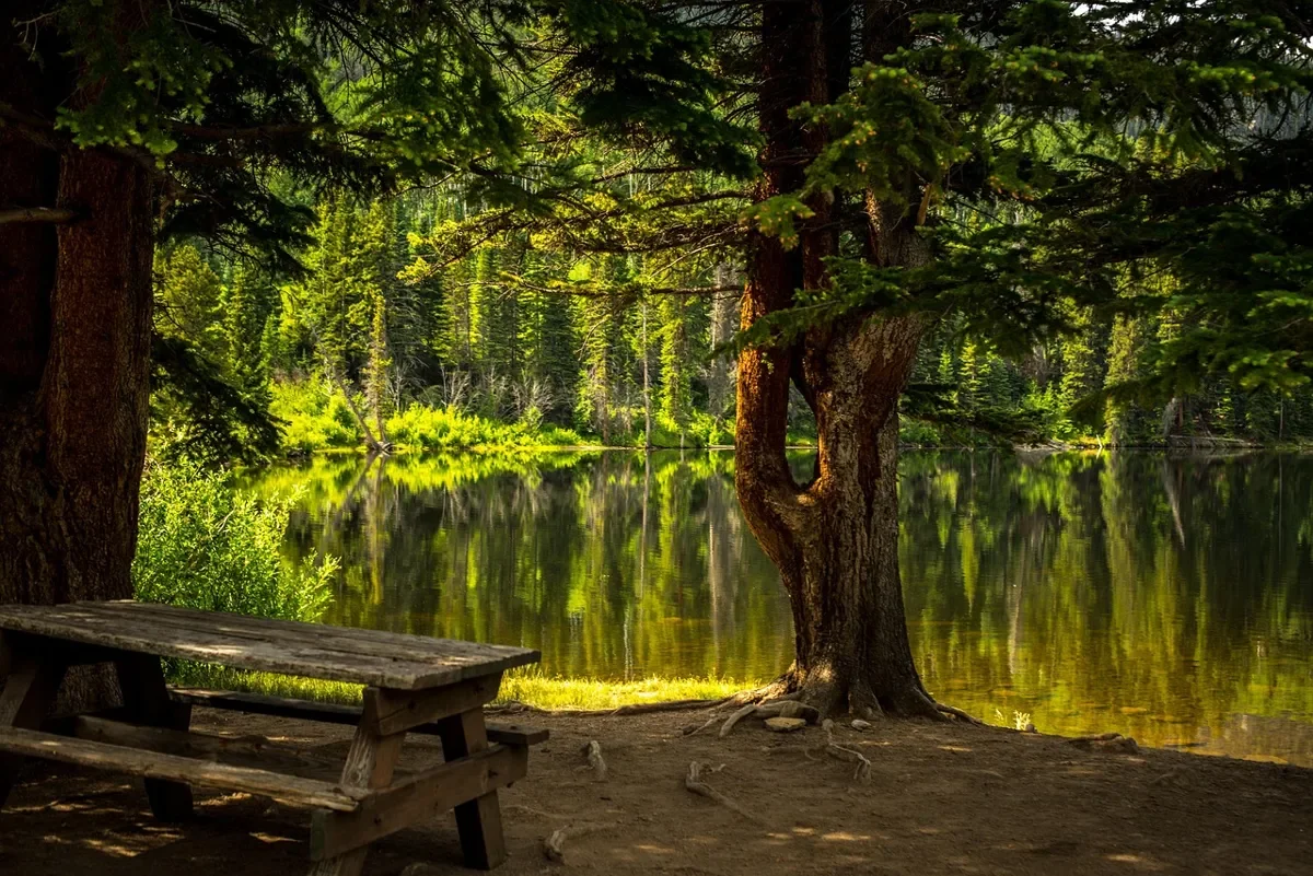Weathered wooden picnic table beside a lake under trees, an example of untreated wood in constant outdoor moisture