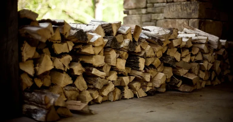 stacked seasoned firewood drying under a covered outdoor woodshed