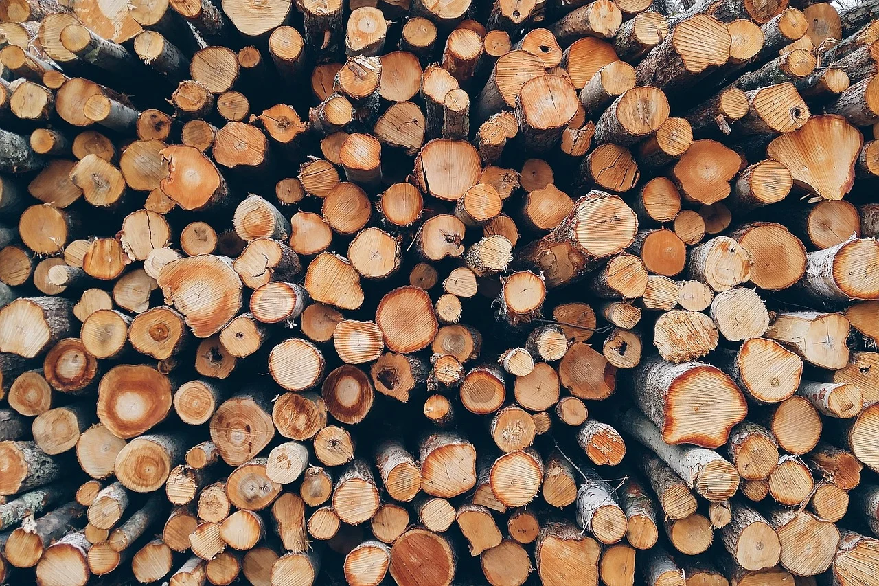 Pile of seasoned, untreated hardwood firewood logs stacked for burning