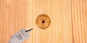 A small pilot hole ready to be reamed