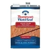 Thompson's WaterSeal Solid Color Waterproofing Wood Stain and Sealer in Natural Cedar, 1 gallon can