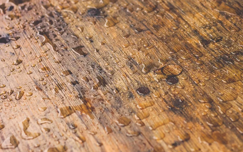 Water beading on a wood surface after sealant application