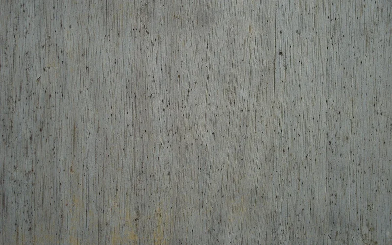 Weathered gray wood board with dark speckling from outdoor exposure