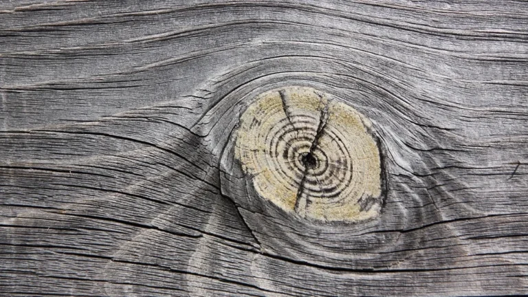 Weathered silver-gray wood board with a knot and deep grain checks