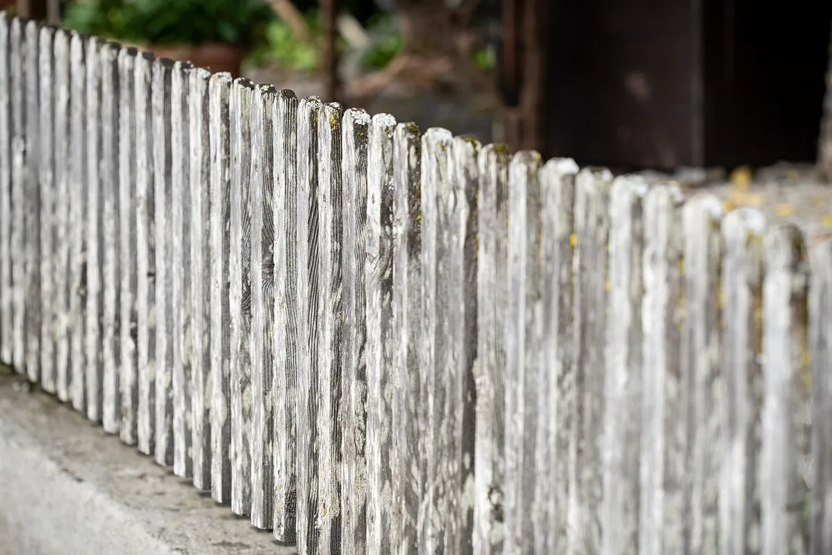 Weathered gray untreated wood fence boards after years of outdoor exposure