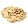 WEN #20 birch wood biscuits, 100 pack, loose pile of oval biscuits