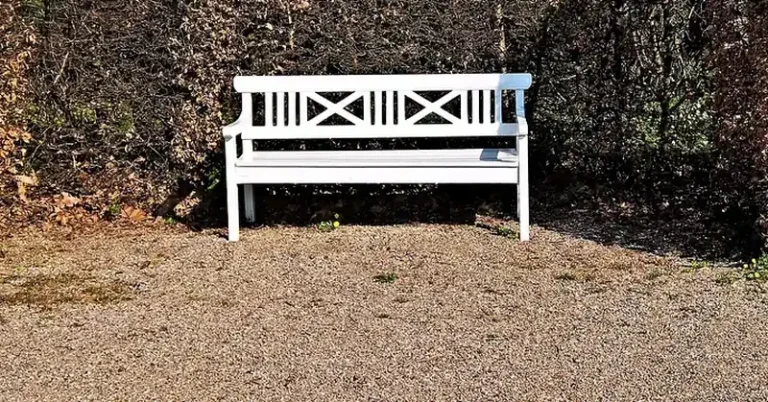 White painted wooden garden bench in front of a hedge