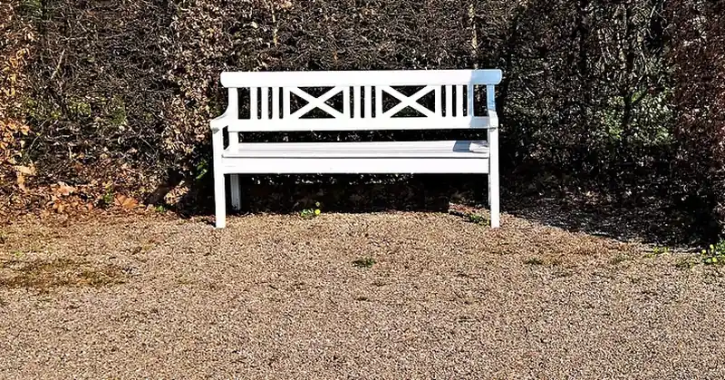 White painted wooden garden bench in front of a hedge
