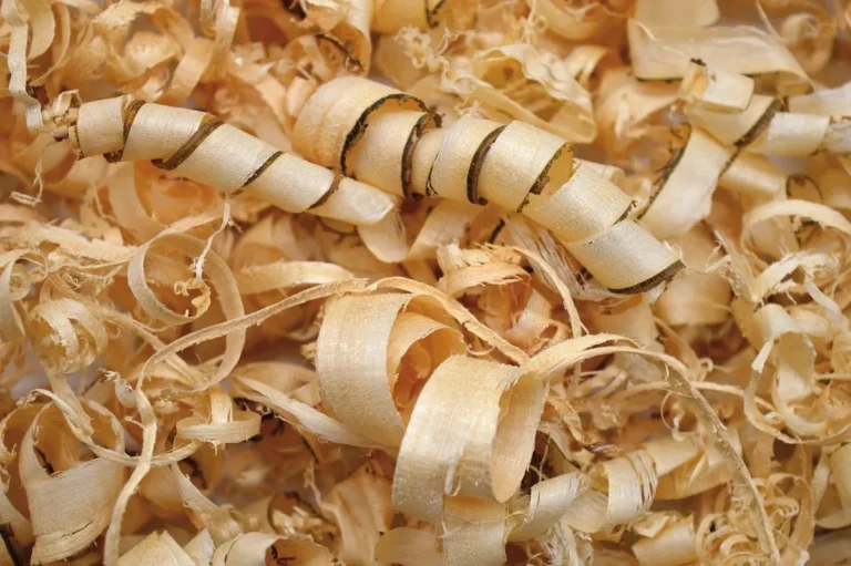 Pile of pale wood curls and spiral planer shavings