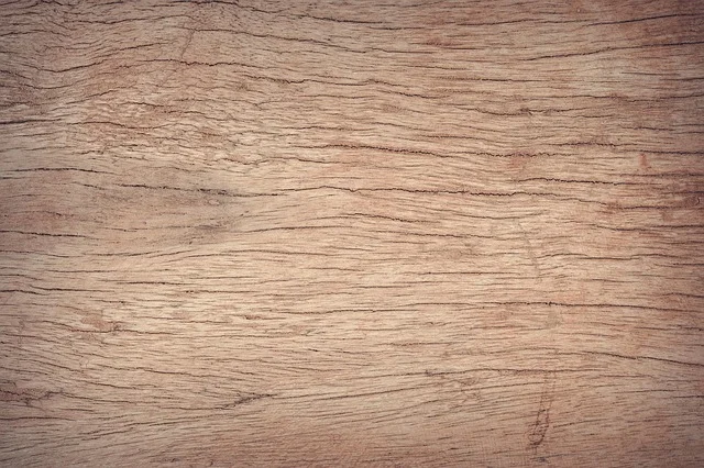 Wood species comparison for choosing folding chair lumber