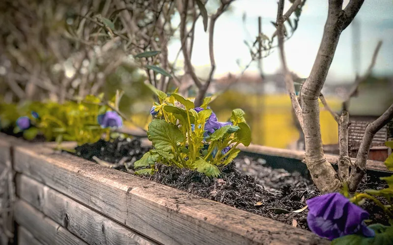 wooden planter box with flowers, sealed against soil moisture