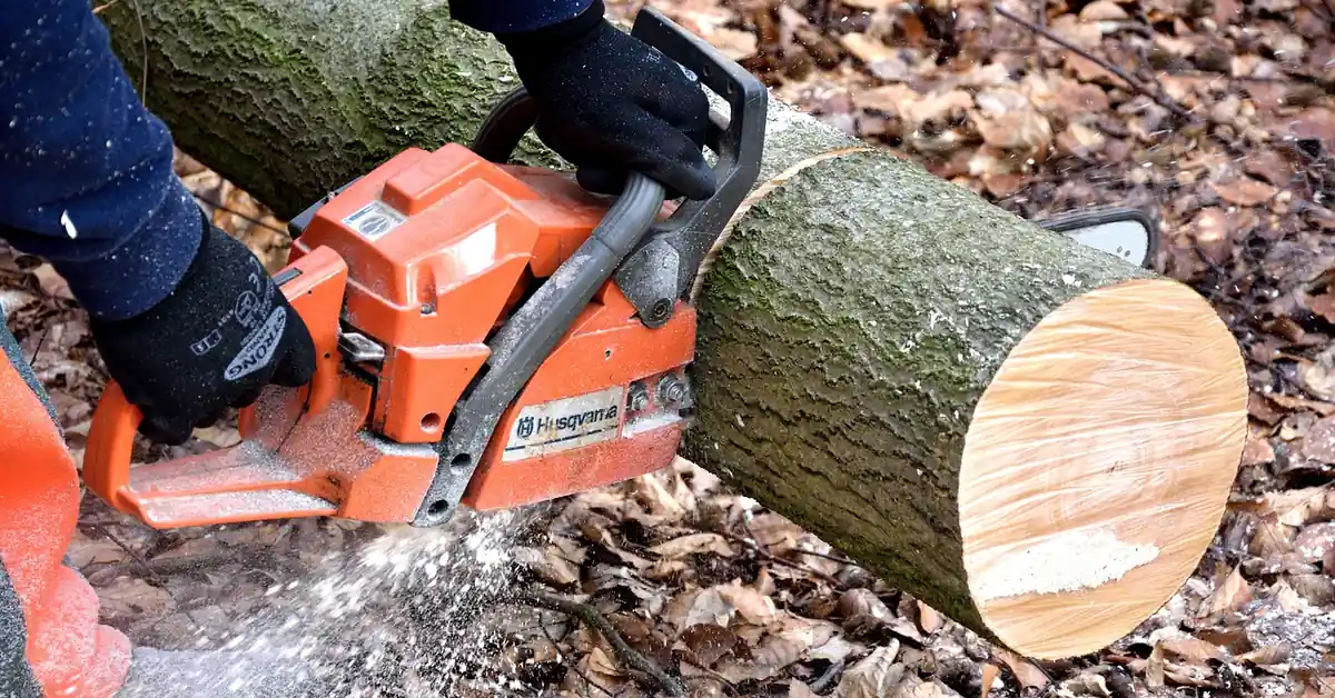 chainsaw operator bucking a felled log into firewood-length rounds outdoors