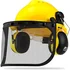 NEIKO forestry safety helmet with face shield and earmuffs
