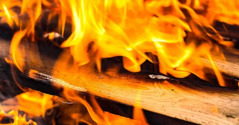 Is Pressure Treated Wood Fire Resistant? (No – Here Is Why)
