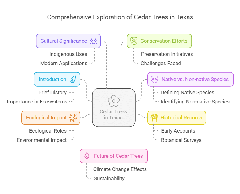 Are Cedar Trees Native to Texas
