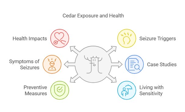 Can Cedar Cause Seizures