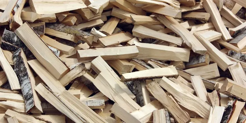 River Birch a Hardwood