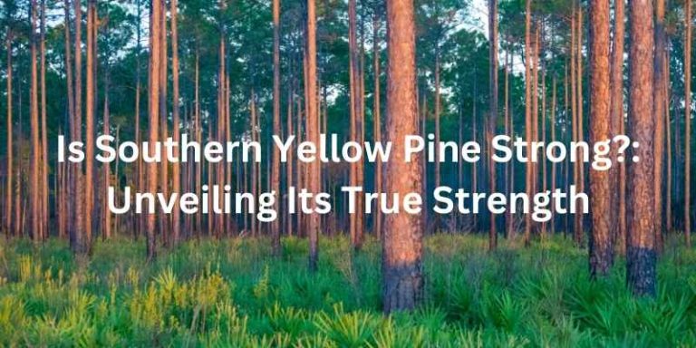 Is Southern Yellow Pine Strong?: Unveiling Its True Strength