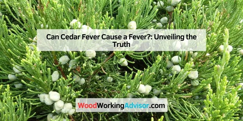 Can Cedar Fever Cause a Fever