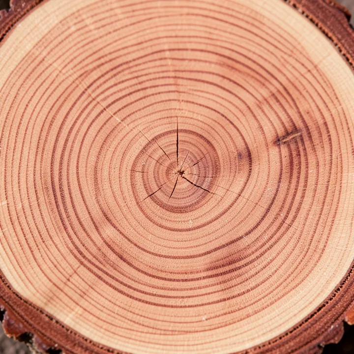 Close-up of applewood grain showing the light reddish-brown color and fine texture