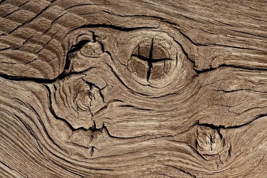 Close-up of bare wood grain with knots and cracks
